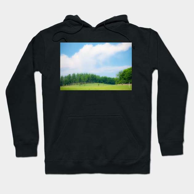 Summer Day at Shelburne Farms, Vermont Hoodie by srwdesign